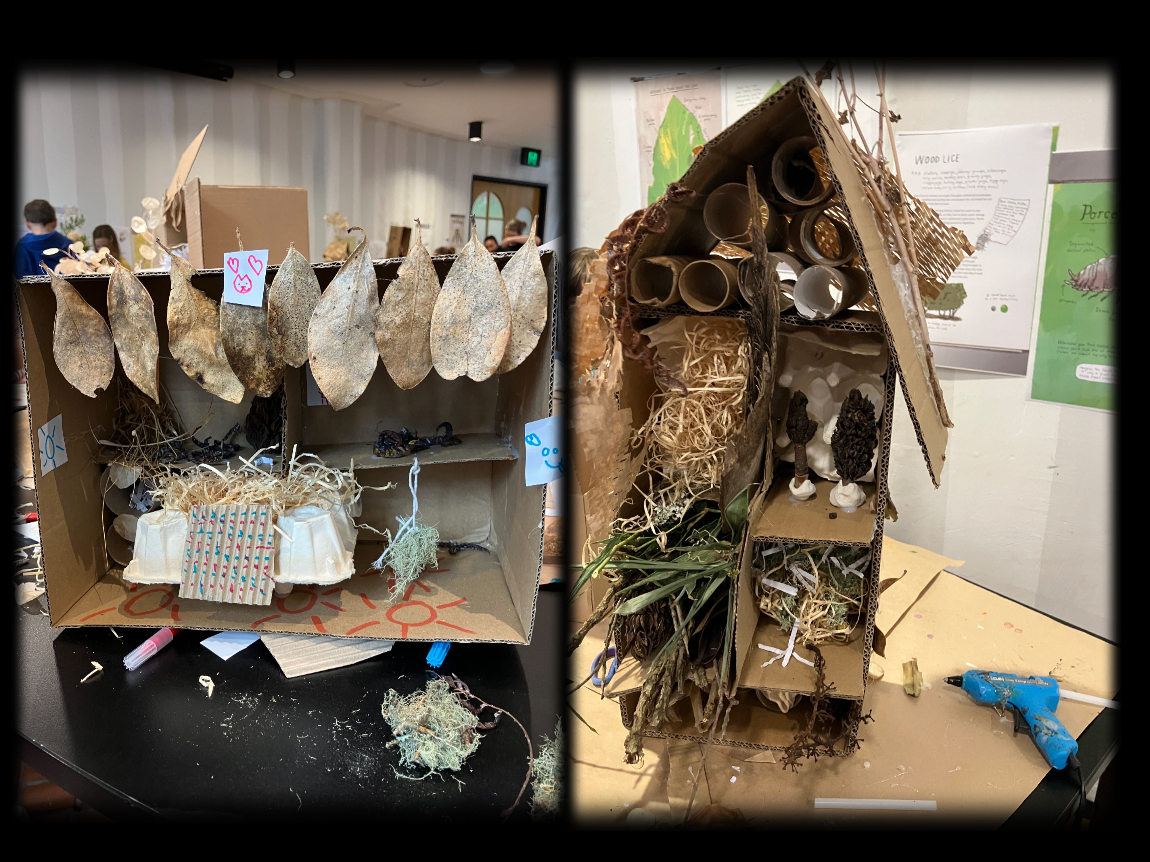 collage-1777420078.jpg