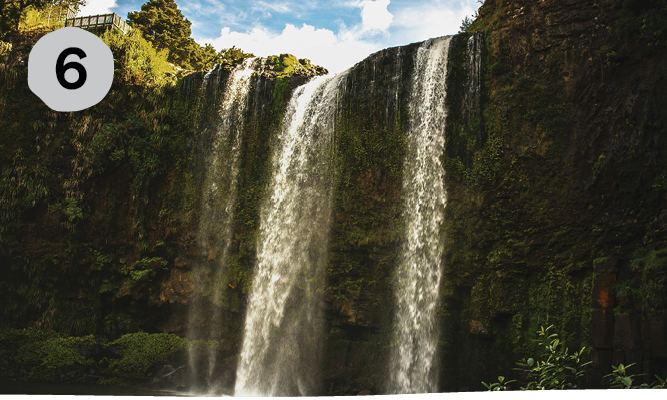 families_whangarei_falls-1733868572.png