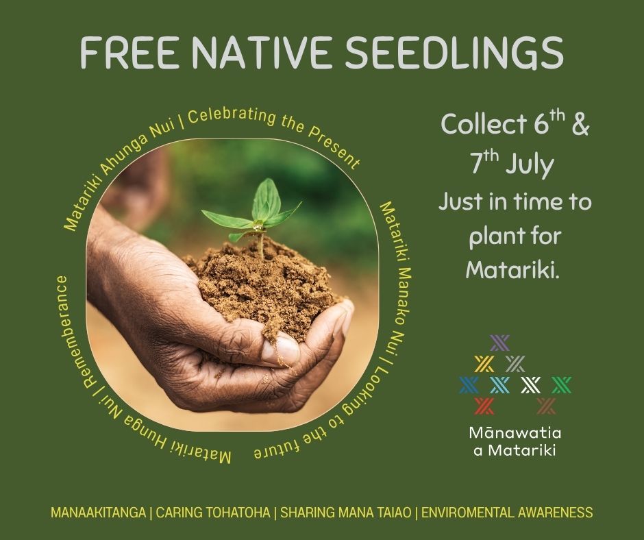 free-seedlings-matariki-2026-image-(002)-1781041771.jpg