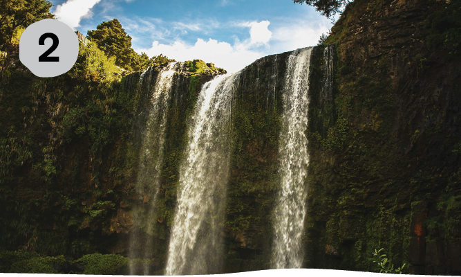 relaxing_getaway_whangarei_falls.png