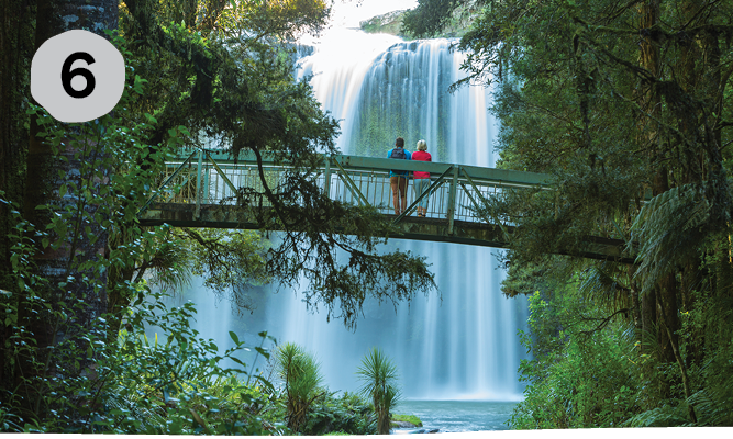 visitors_whangarei_falls.png